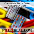 Commander De La Gelée Kamagra En Ligne 36